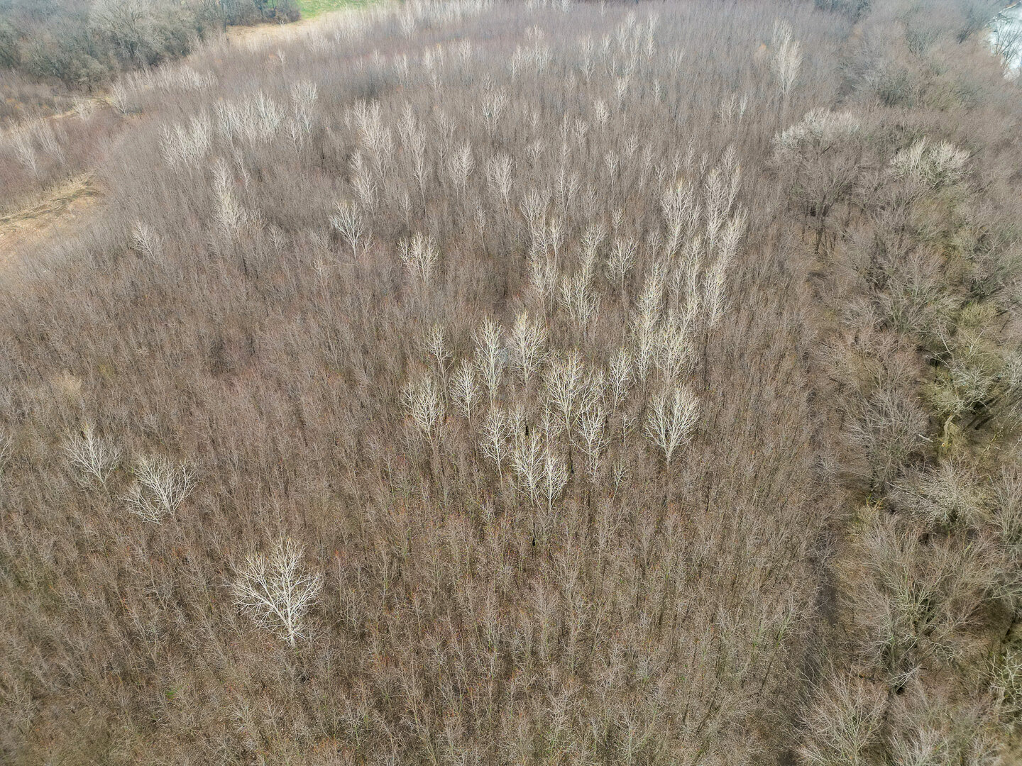 Image for Sangamon County, IL 58.22 Acres