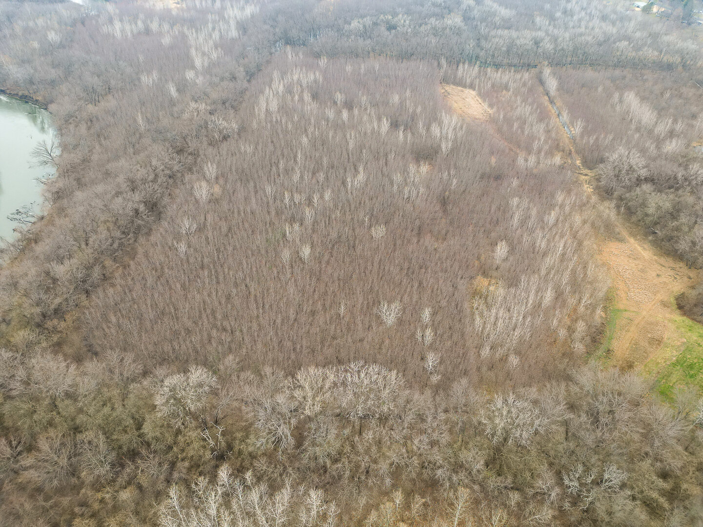 Image for Sangamon County, IL 58.22 Acres