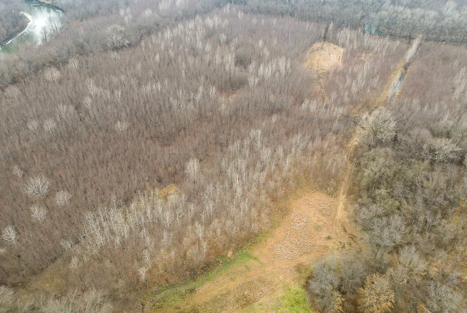 Image for Sangamon County, IL 58.22 Acres