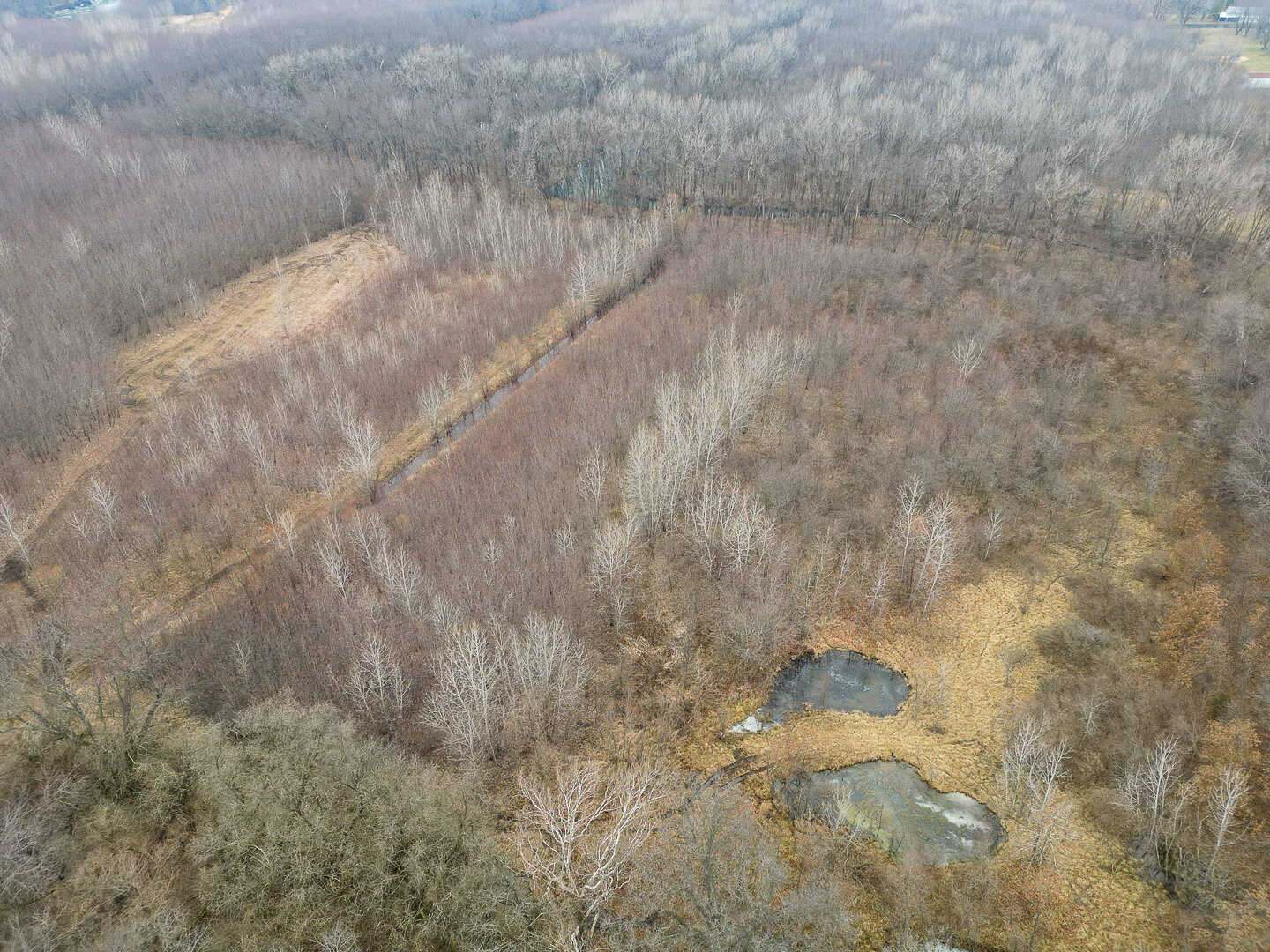 Image for Sangamon County, IL 58.22 Acres