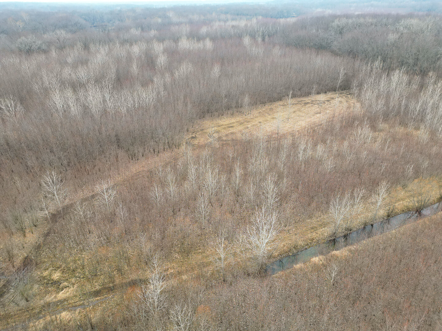 Image for Sangamon County, IL 58.22 Acres
