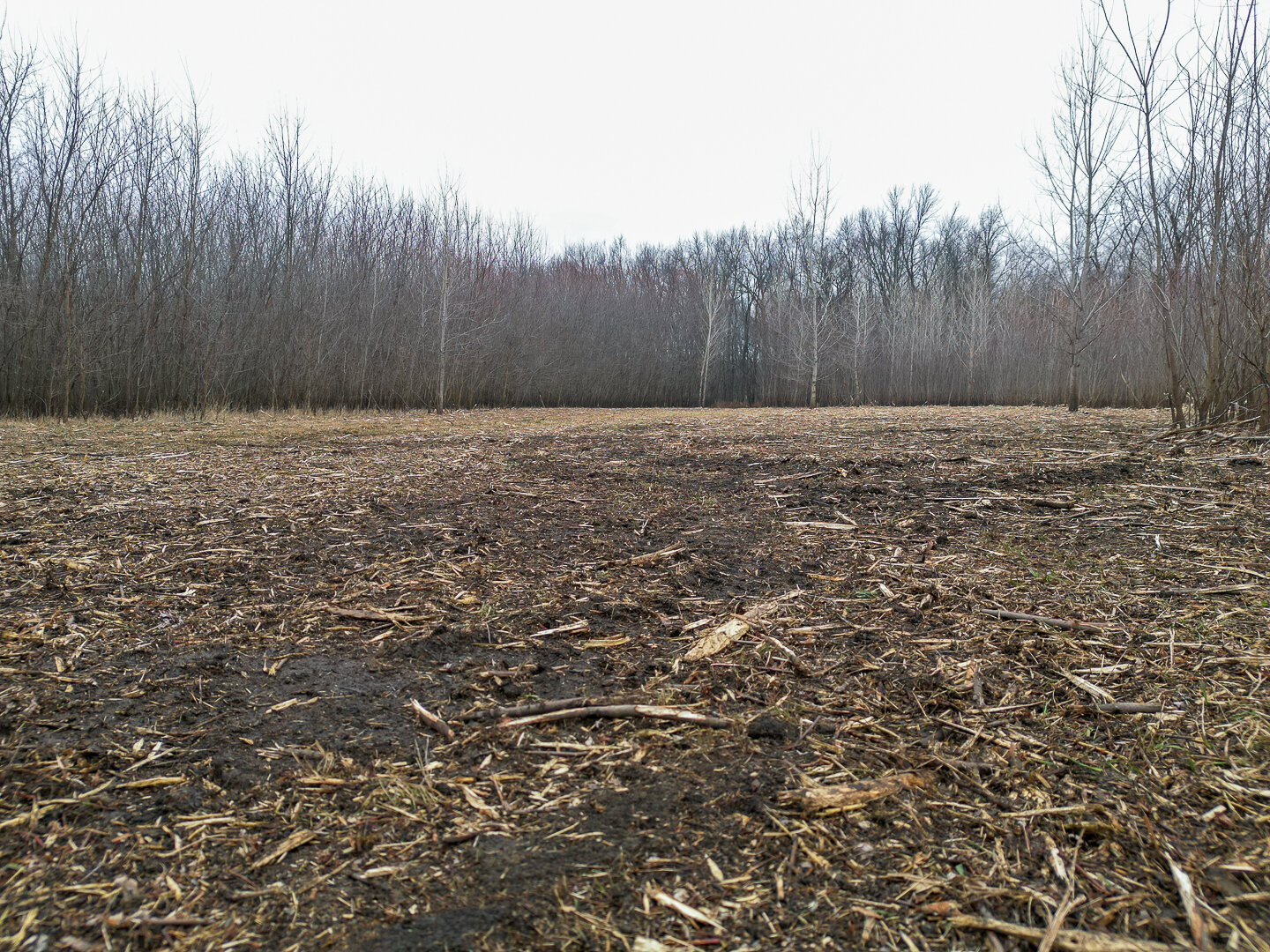 Image for Sangamon County, IL 58.22 Acres