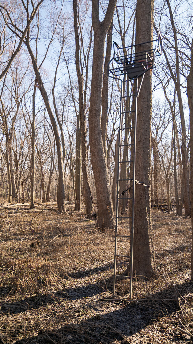 Image for Sangamon County, IL 58.22 Acres