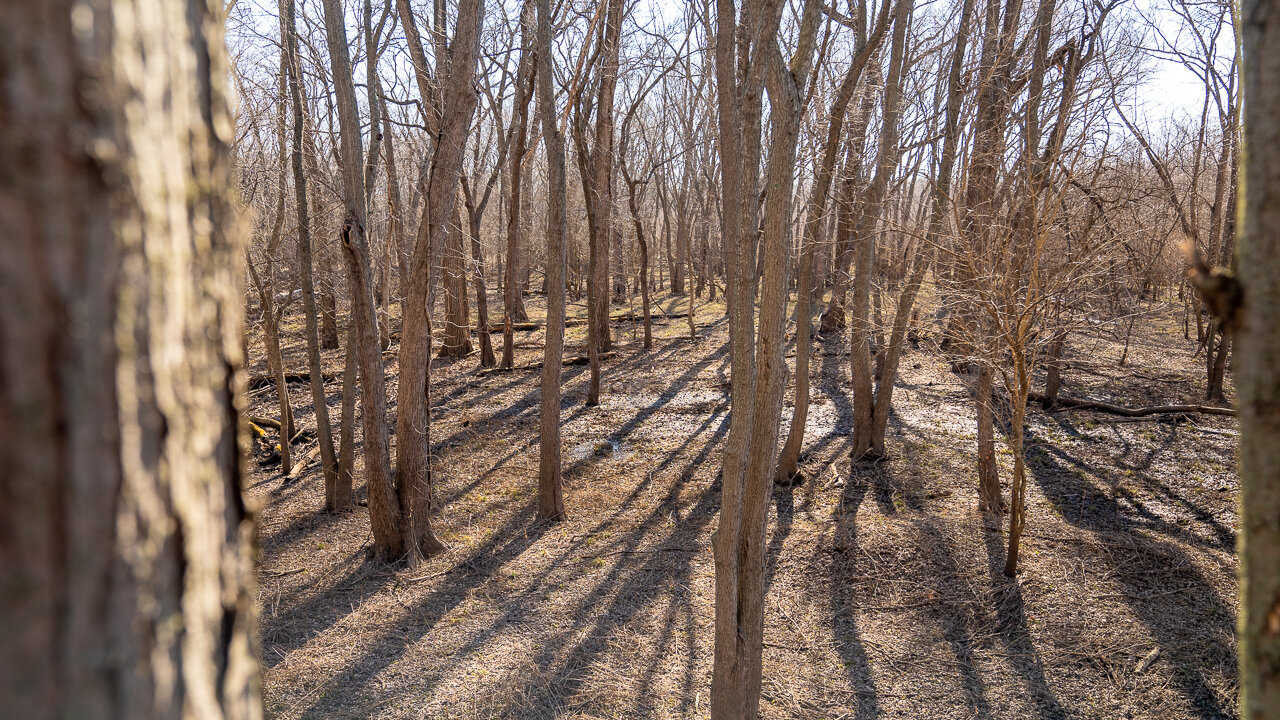 Image for Sangamon County, IL 58.22 Acres