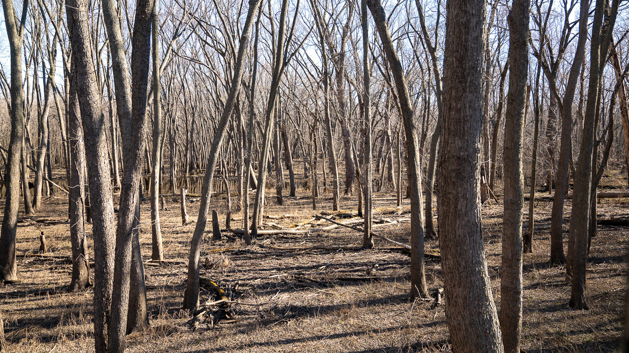 Image for Sangamon County, IL 58.22 Acres