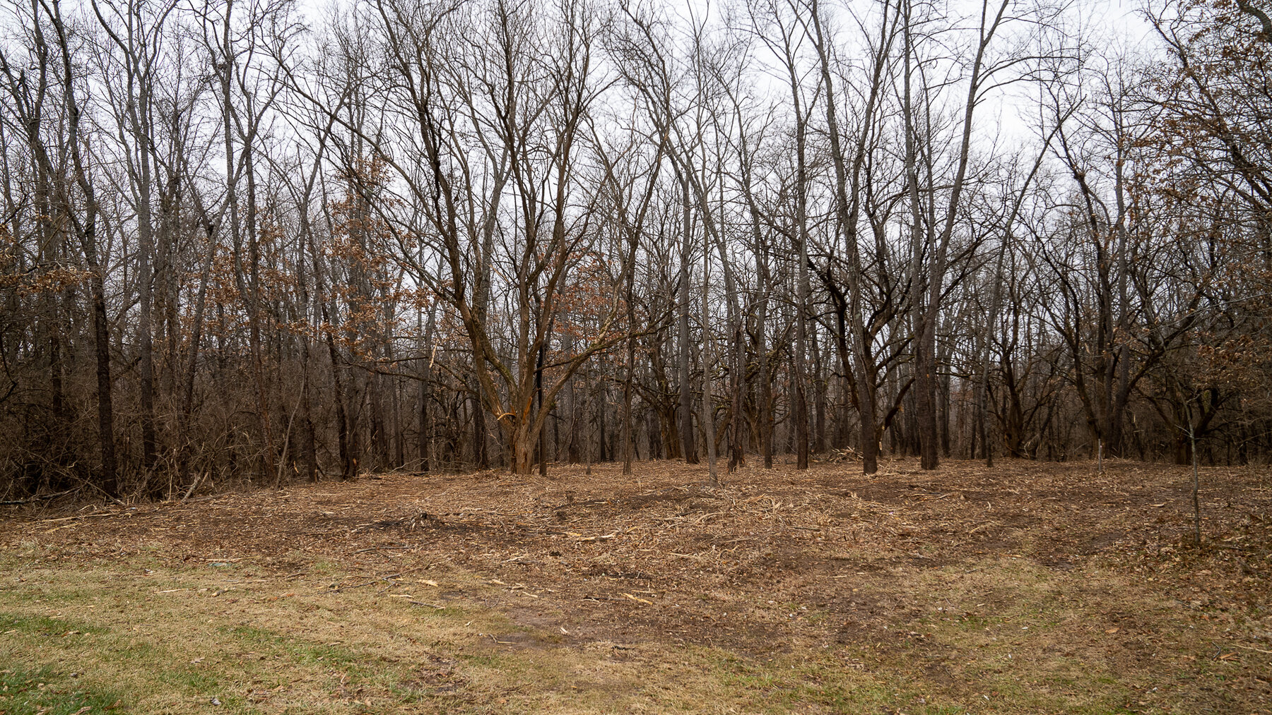 Image for Sangamon County, IL 58.22 Acres