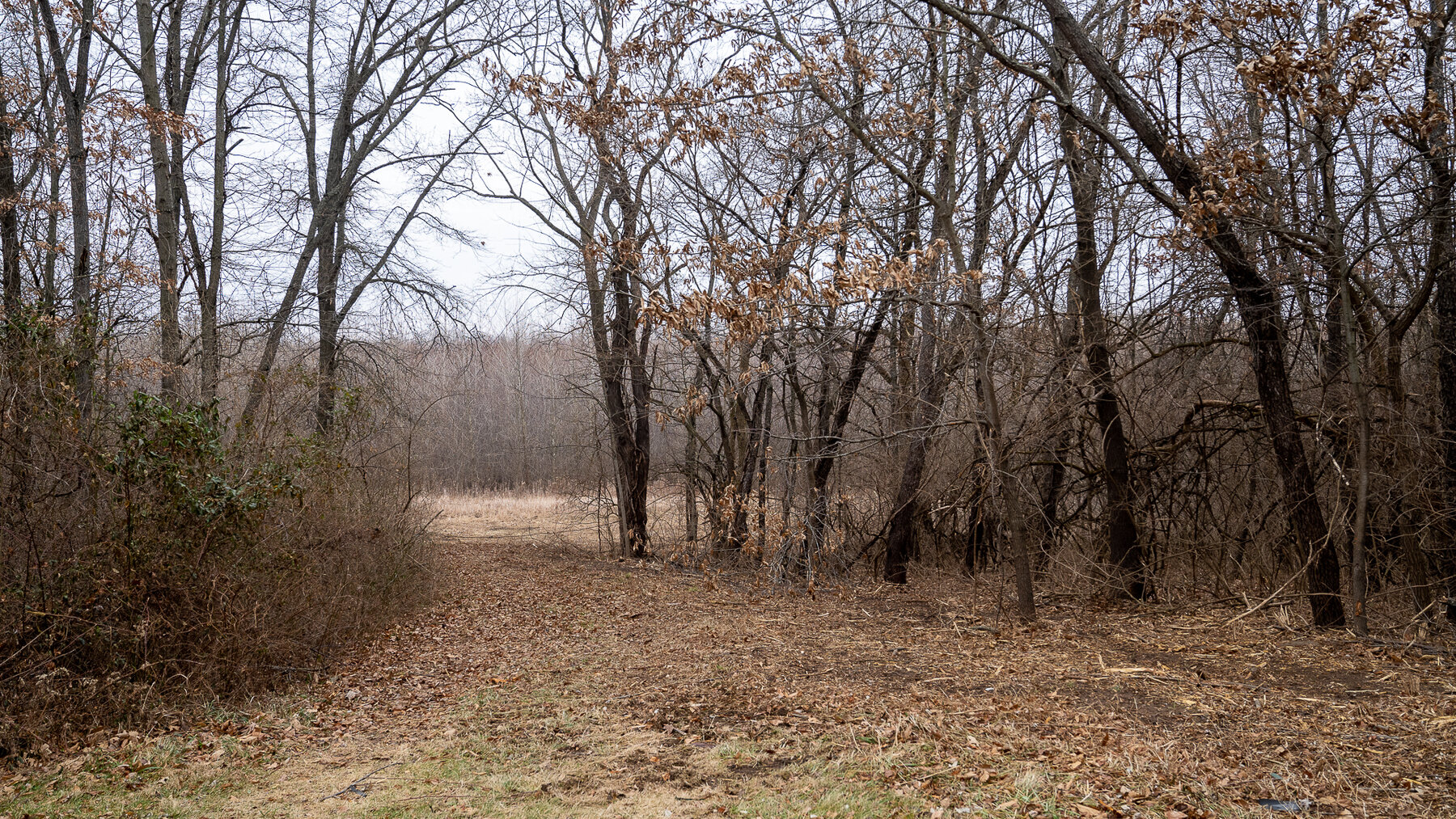 Image for Sangamon County, IL 58.22 Acres