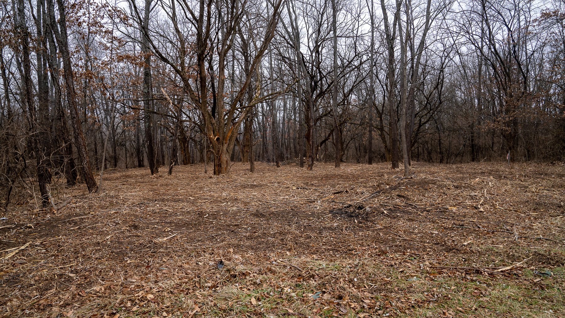 Image for Sangamon County, IL 58.22 Acres