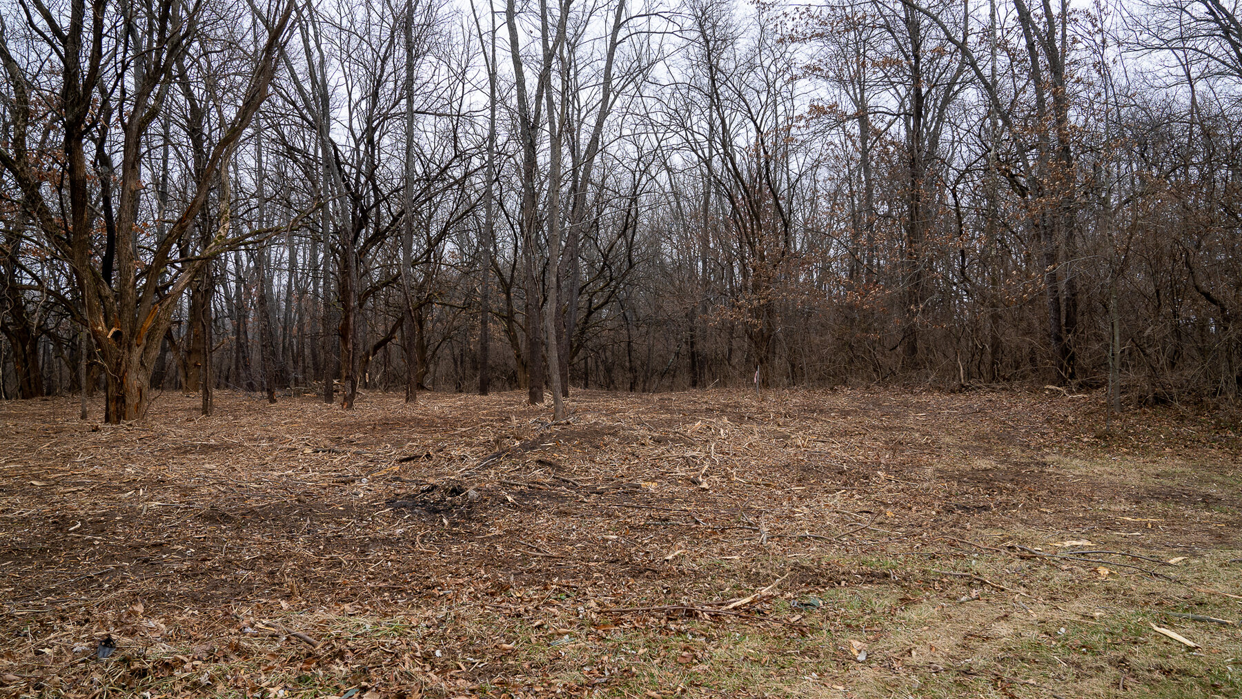 Image for Sangamon County, IL 58.22 Acres