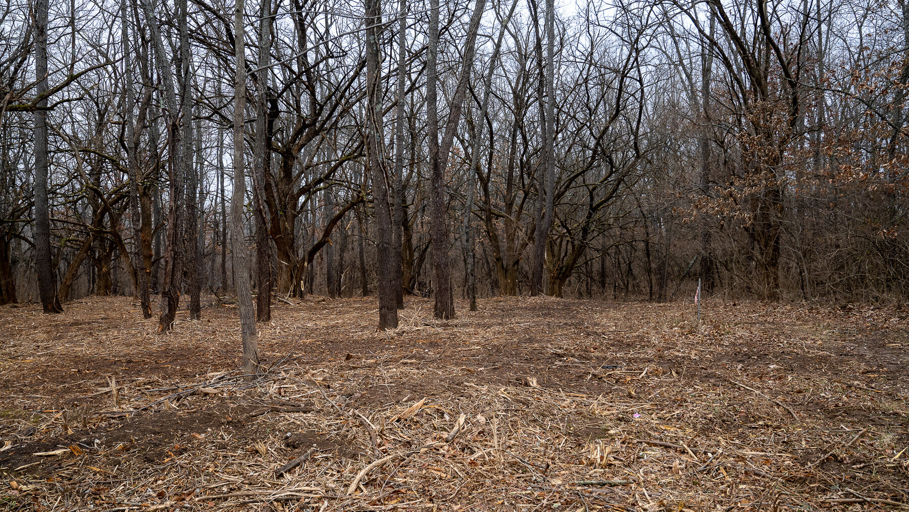 Image for Sangamon County, IL 58.22 Acres