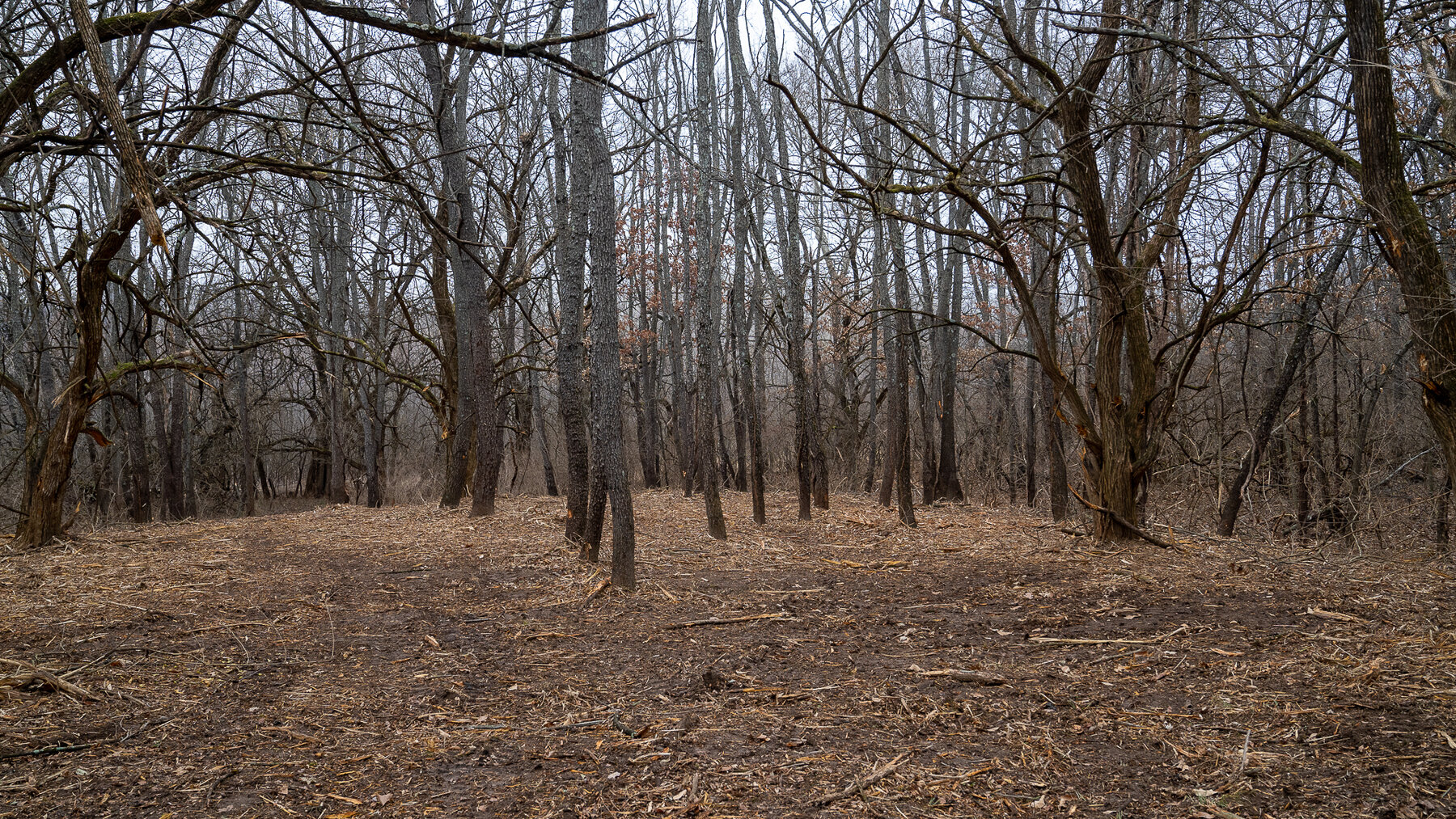 Image for Sangamon County, IL 58.22 Acres