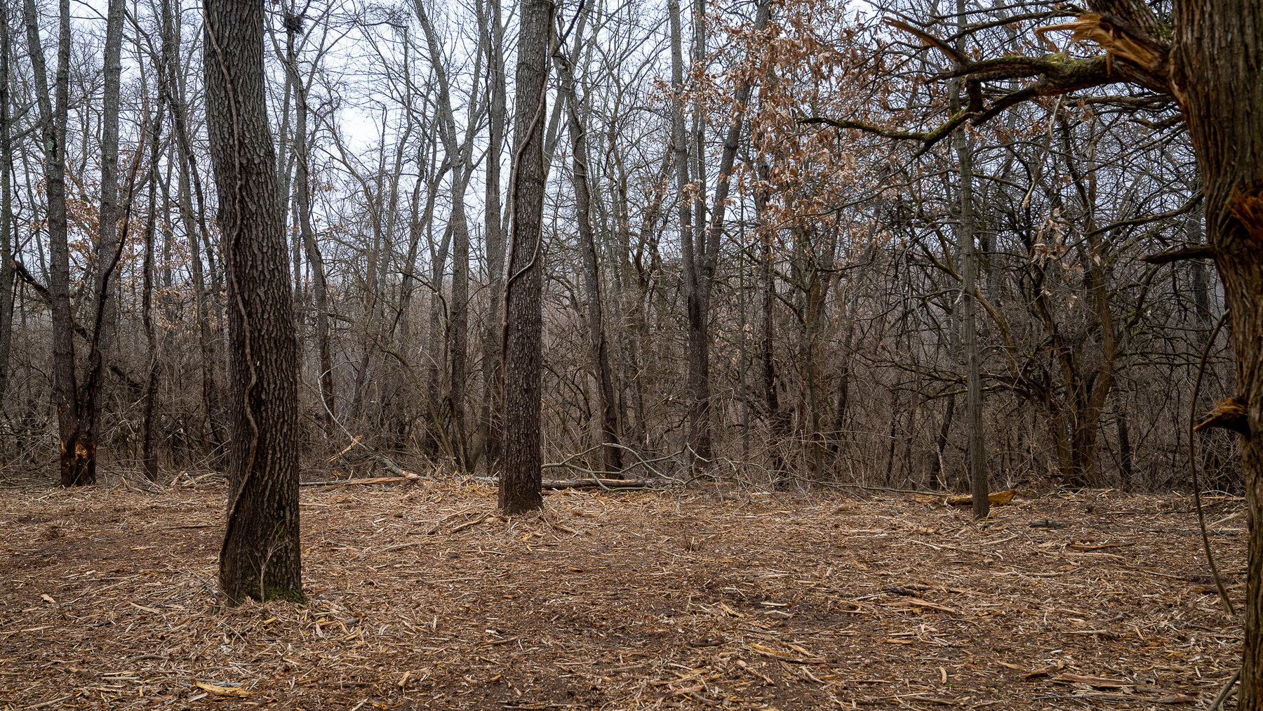 Image for Sangamon County, IL 58.22 Acres