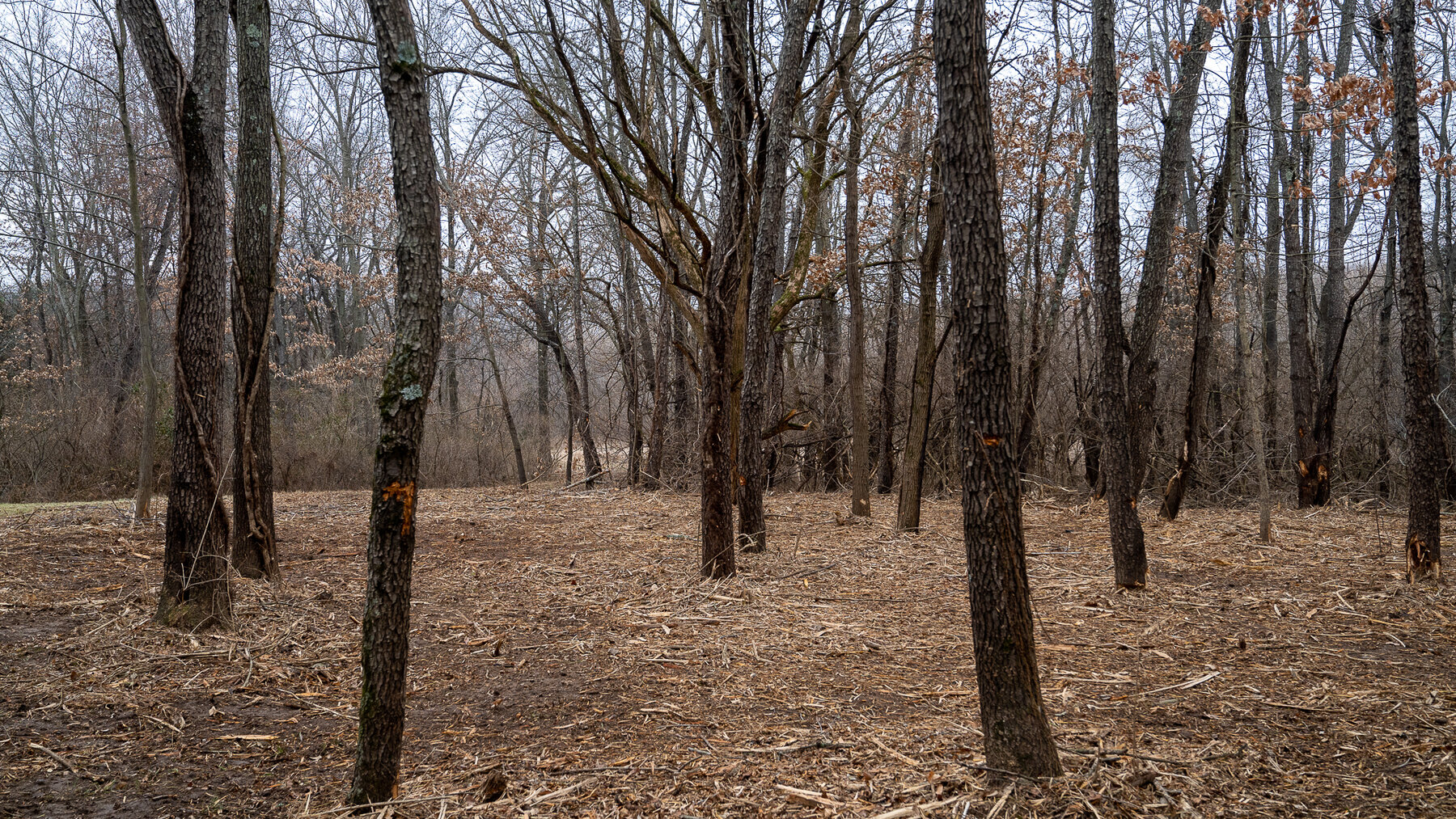 Image for Sangamon County, IL 58.22 Acres