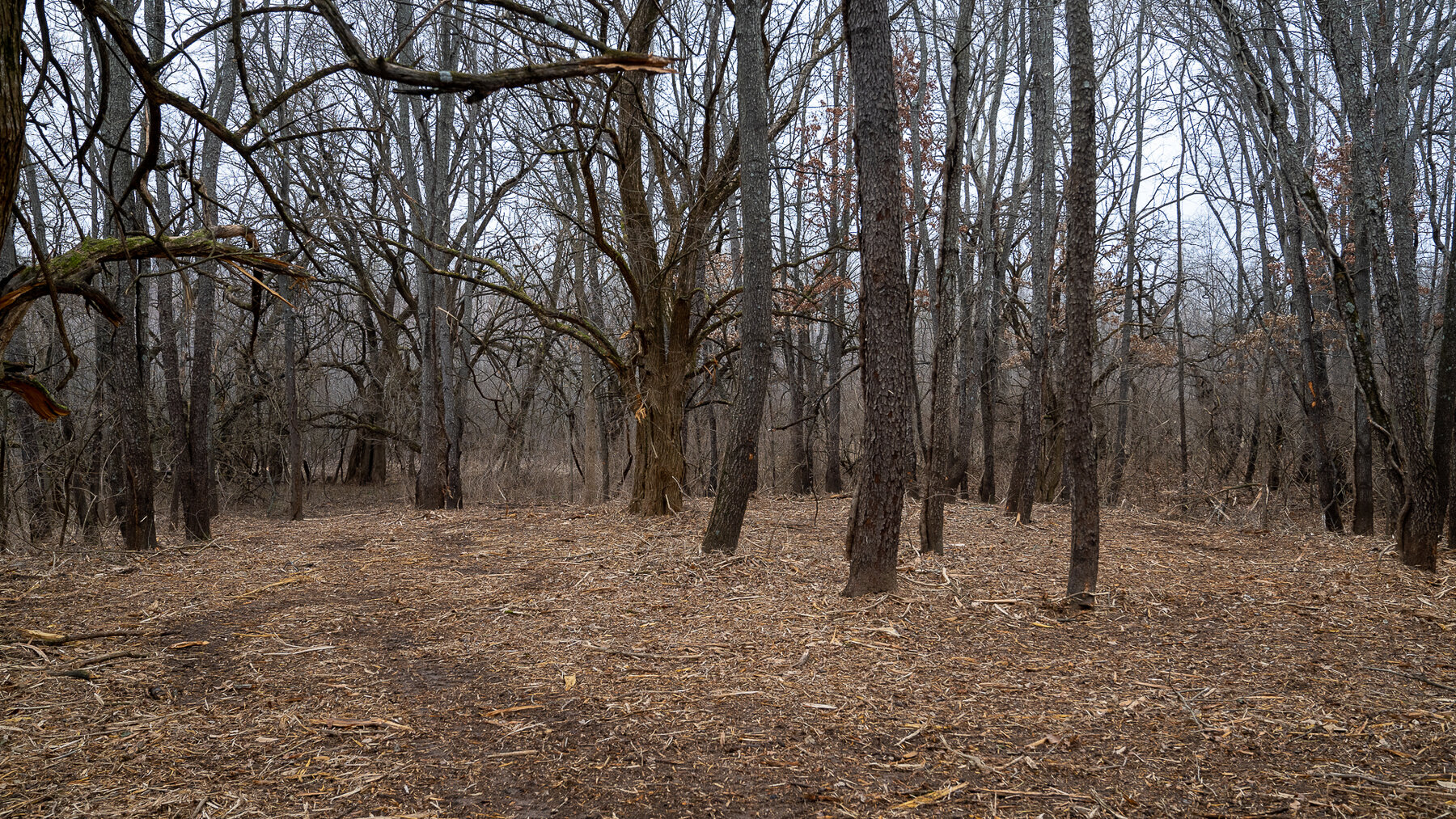 Image for Sangamon County, IL 58.22 Acres