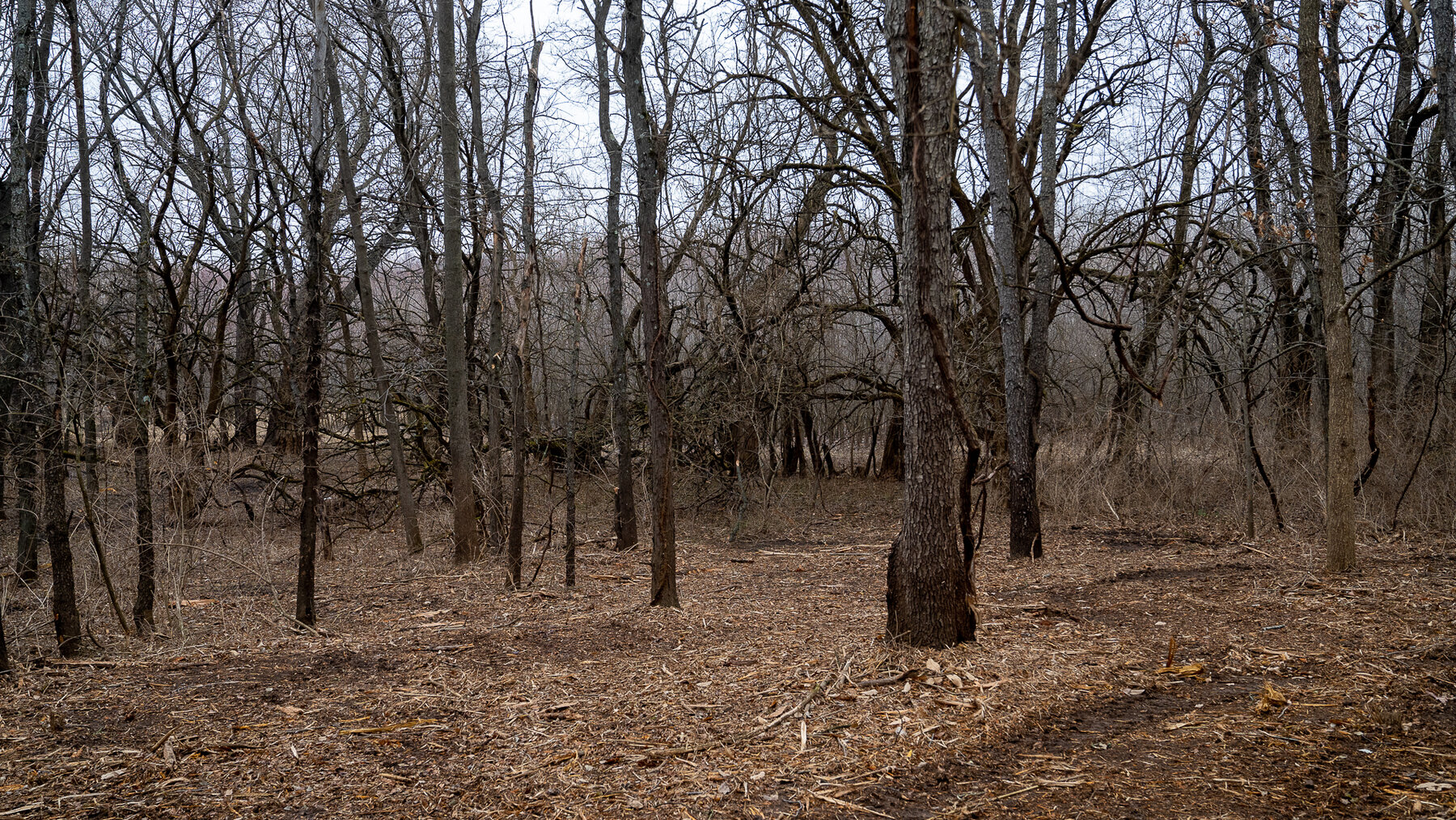 Image for Sangamon County, IL 58.22 Acres