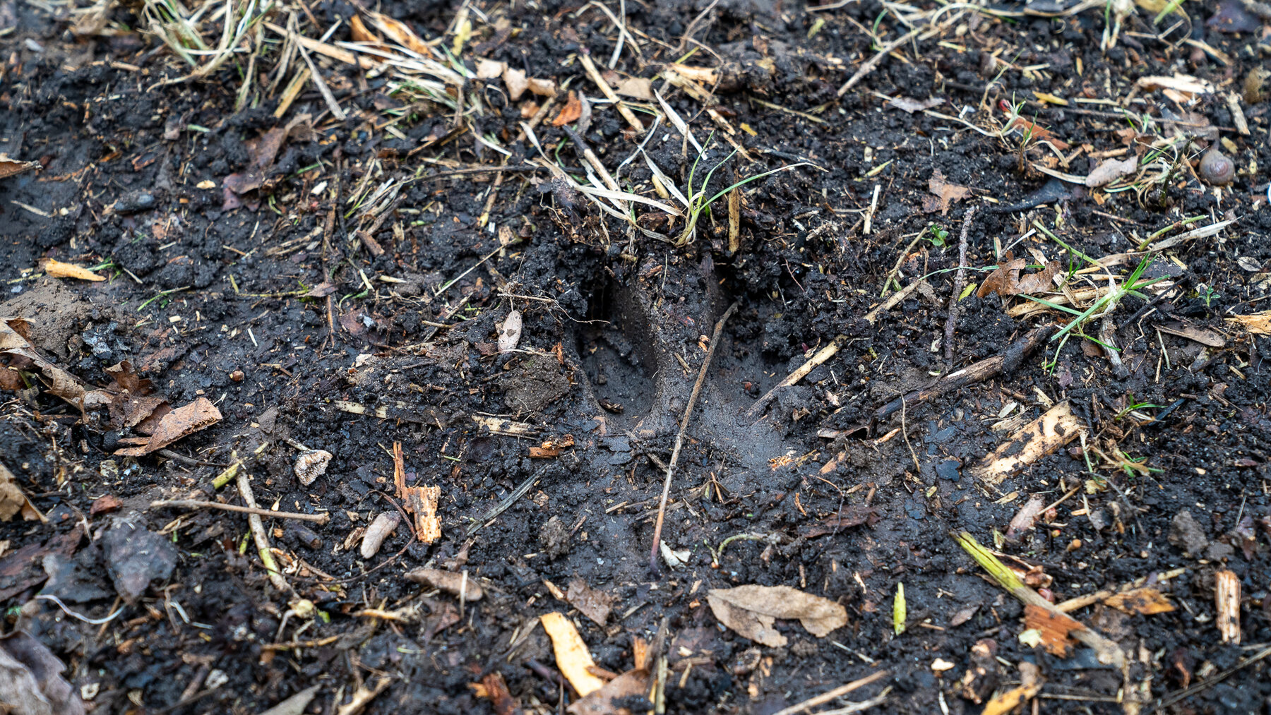 Image for Sangamon County, IL 58.22 Acres