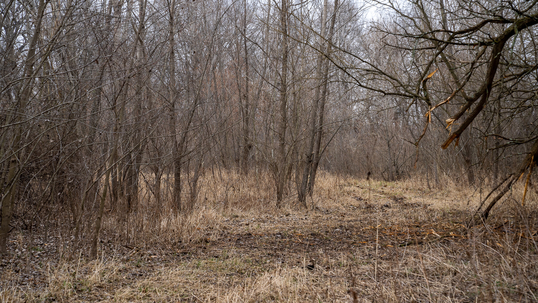 Image for Sangamon County, IL 58.22 Acres