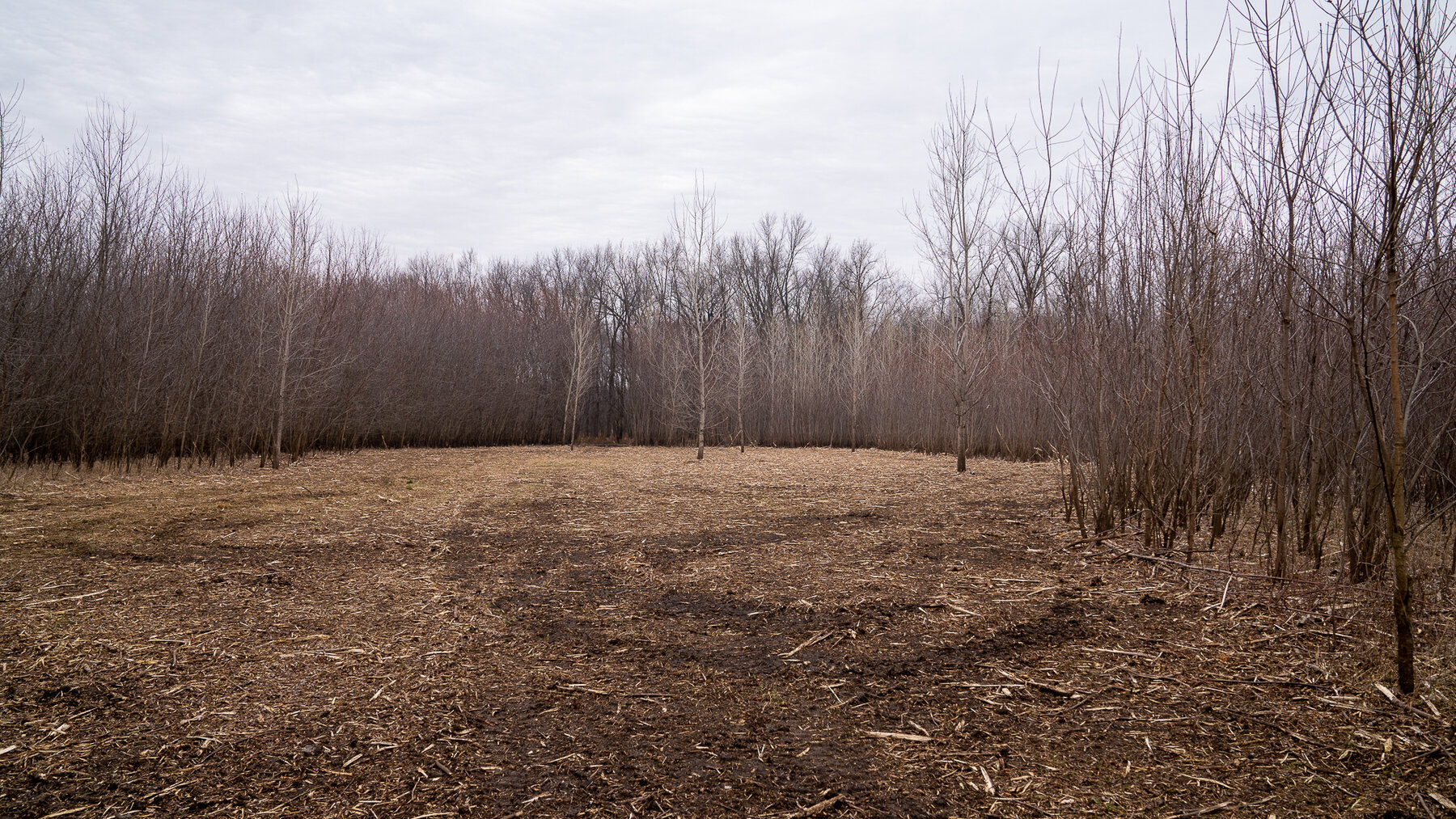 Image for Sangamon County, IL 58.22 Acres