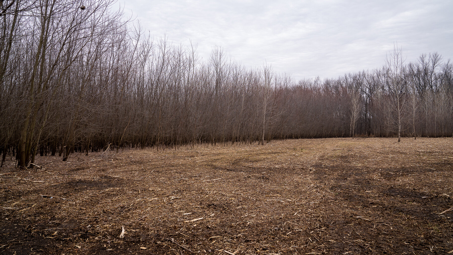 Image for Sangamon County, IL 58.22 Acres