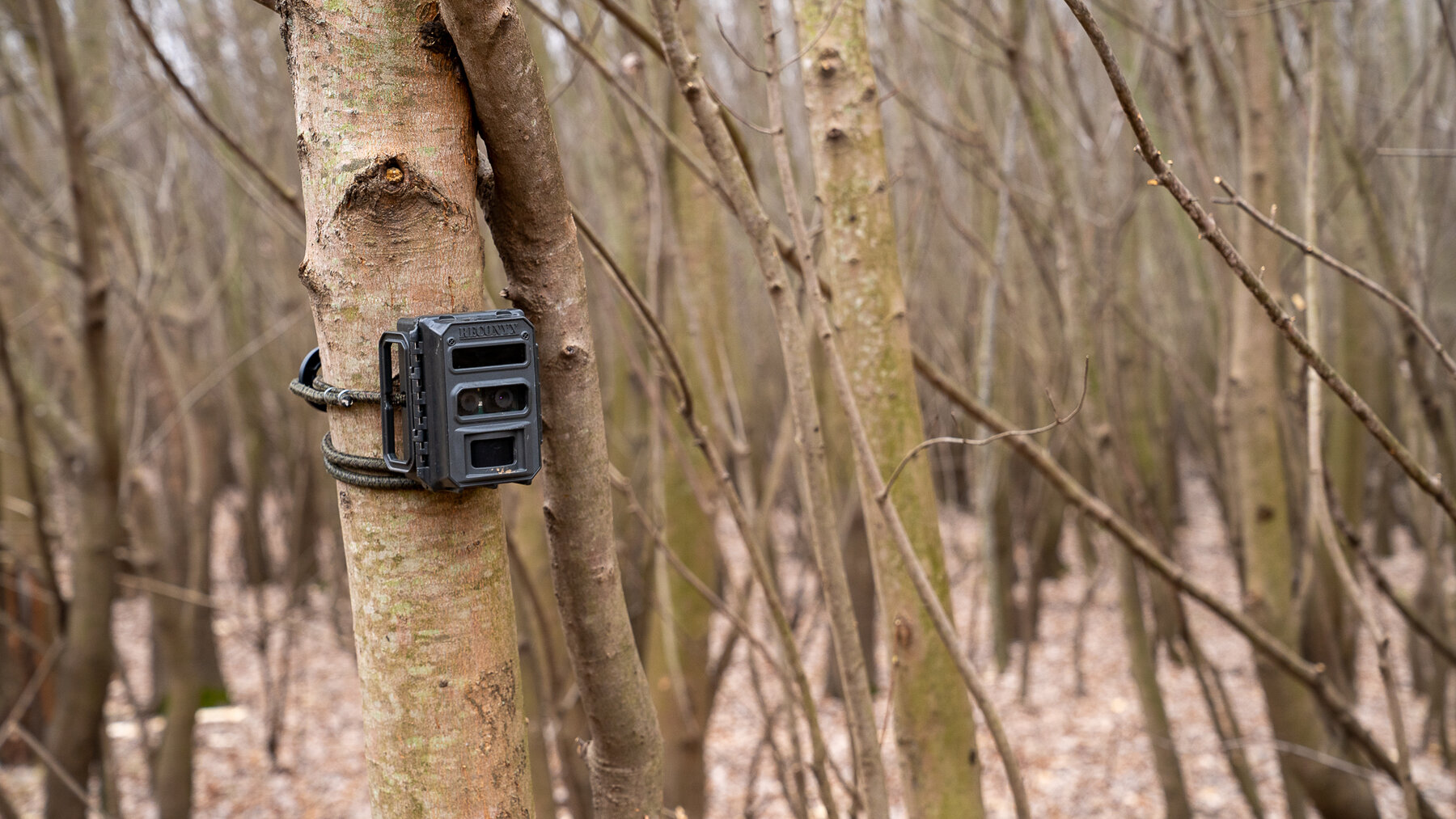 Image for Sangamon County, IL 58.22 Acres