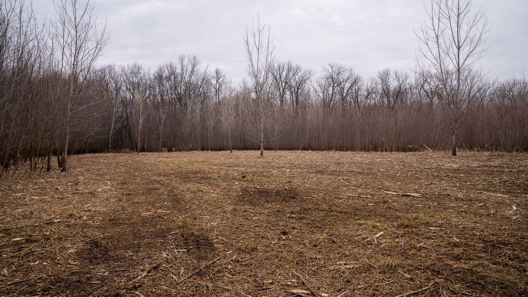 Image for Sangamon County, IL 58.22 Acres