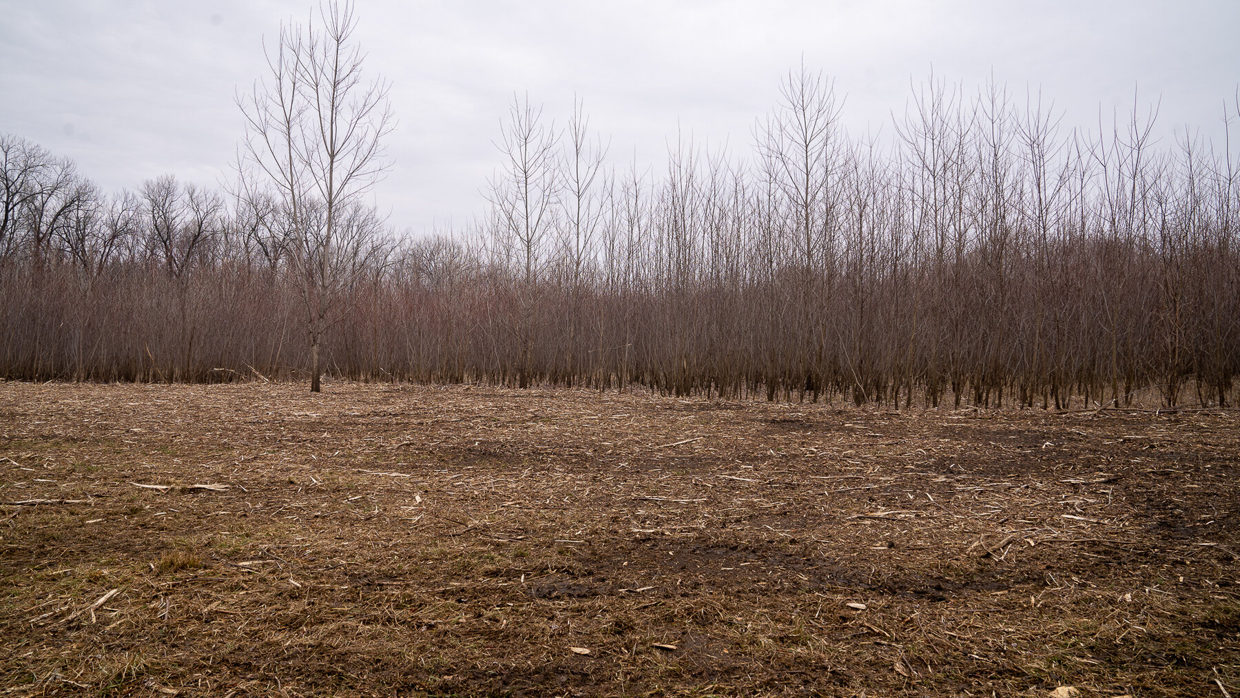 Image for Sangamon County, IL 58.22 Acres