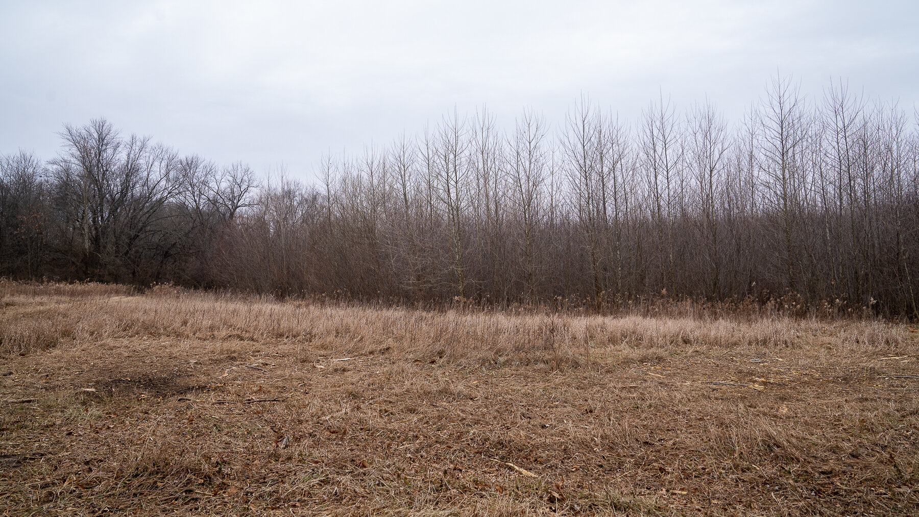 Image for Sangamon County, IL 58.22 Acres