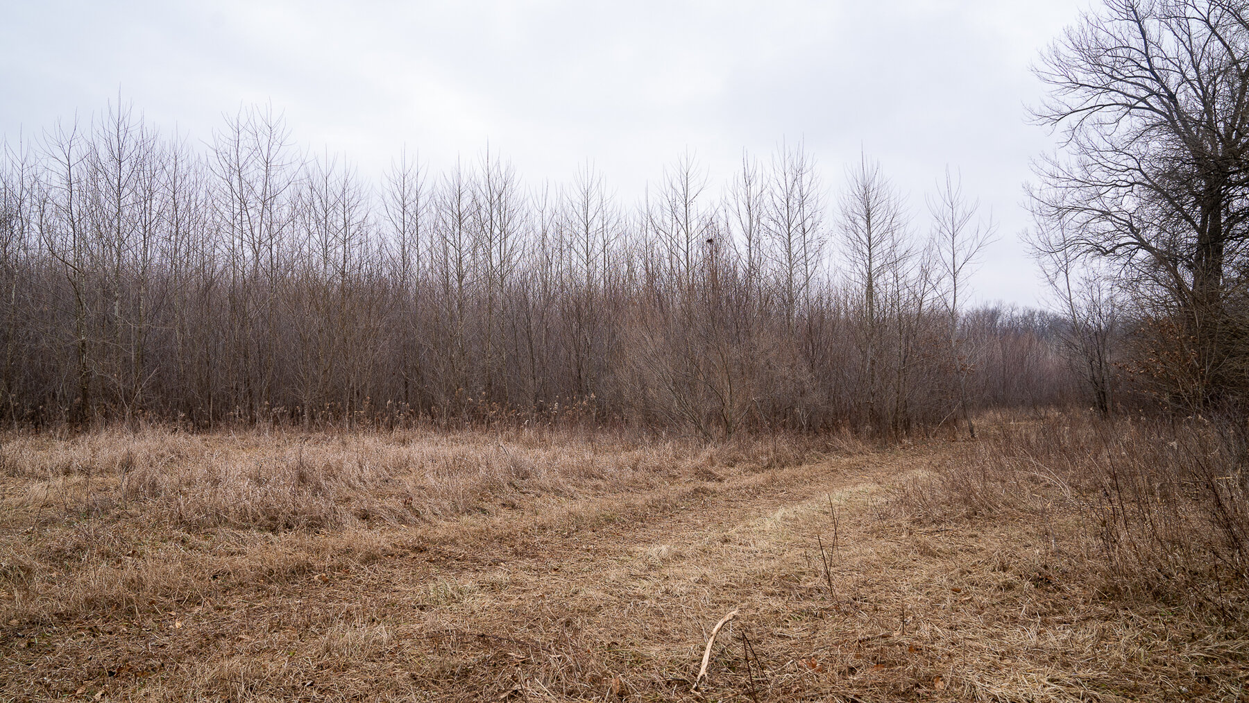 Image for Sangamon County, IL 58.22 Acres