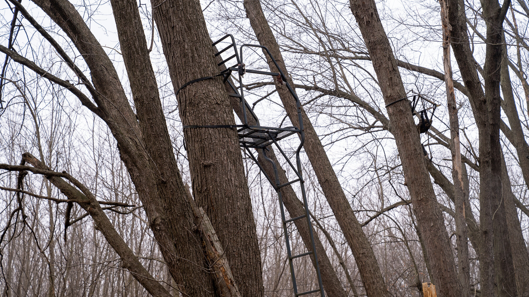 Image for Sangamon County, IL 58.22 Acres