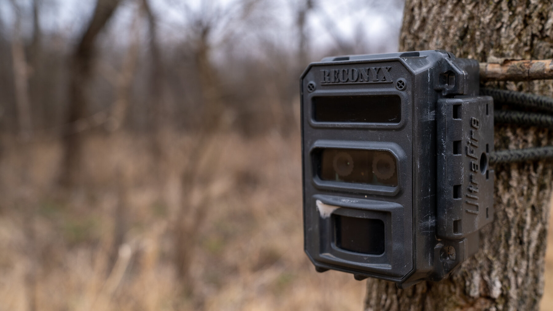 Image for Sangamon County, IL 58.22 Acres