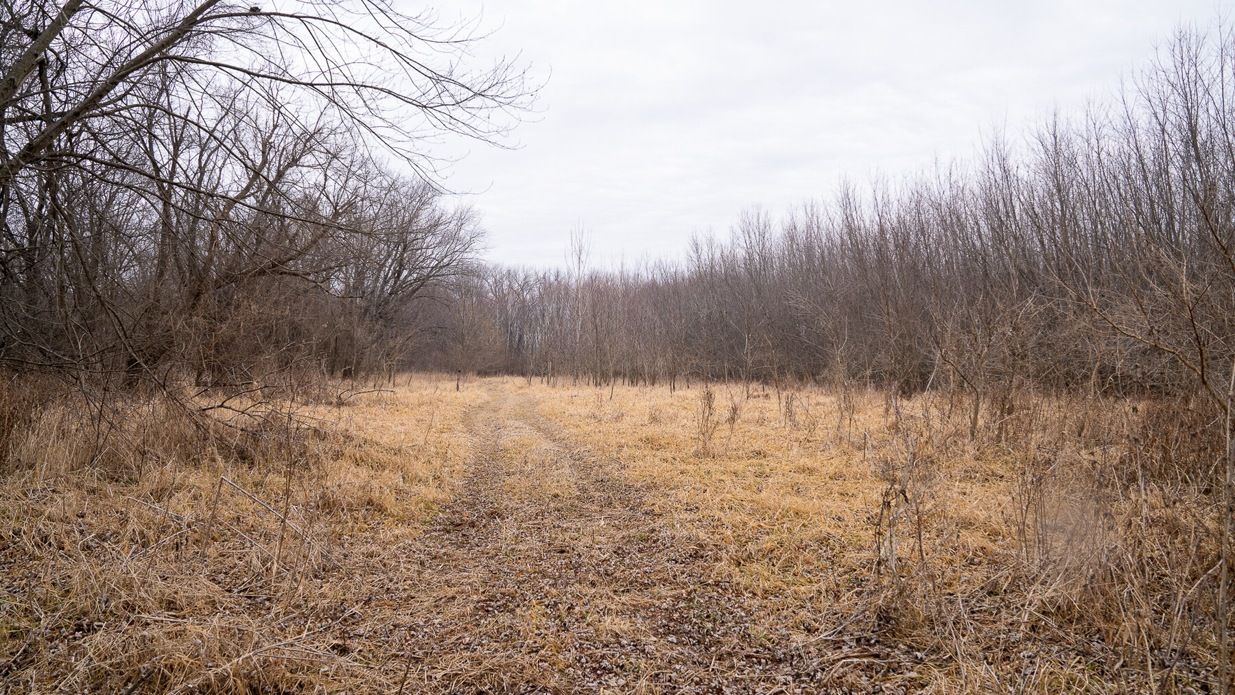 Image for Sangamon County, IL 58.22 Acres