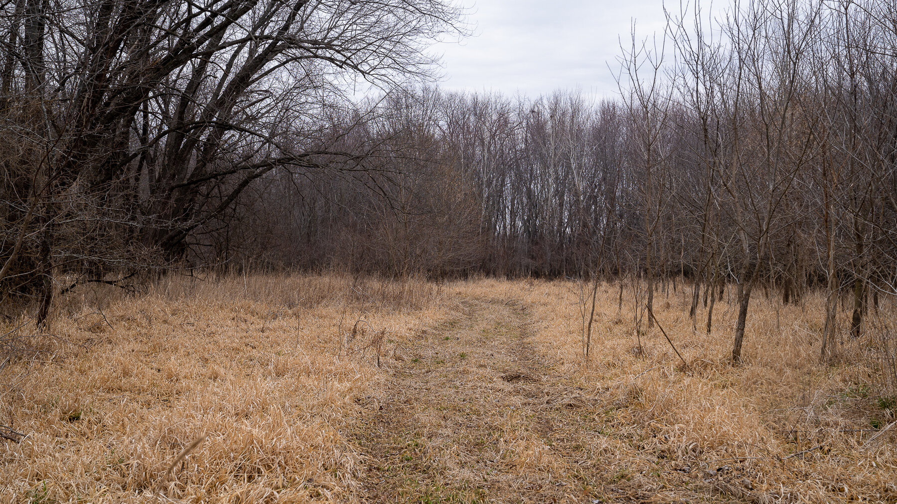 Image for Sangamon County, IL 58.22 Acres