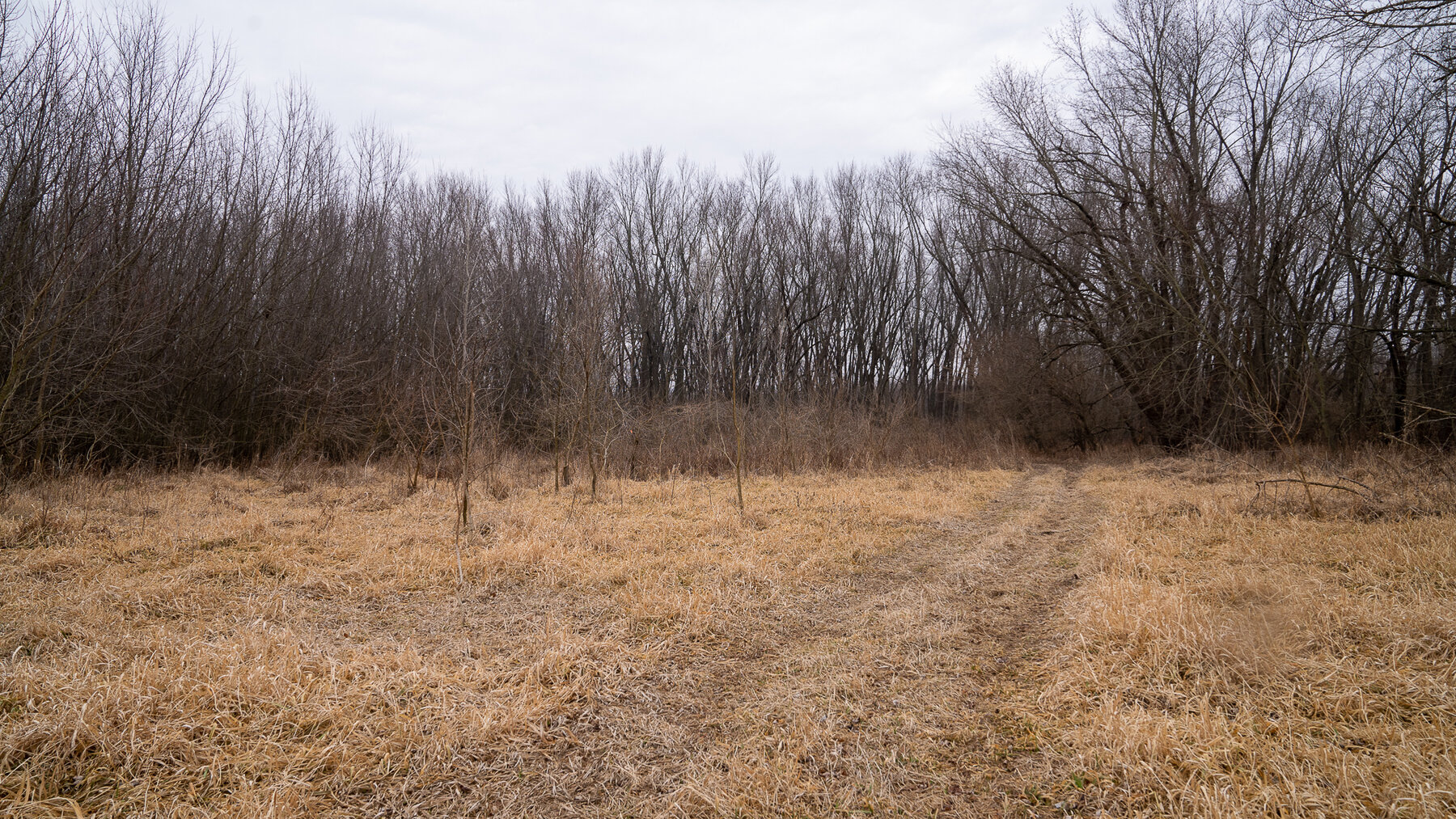 Image for Sangamon County, IL 58.22 Acres