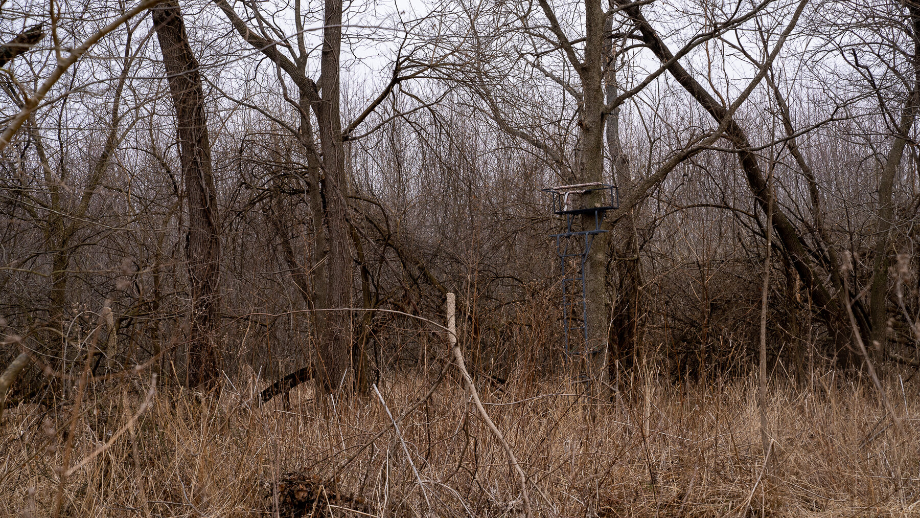 Image for Sangamon County, IL 58.22 Acres