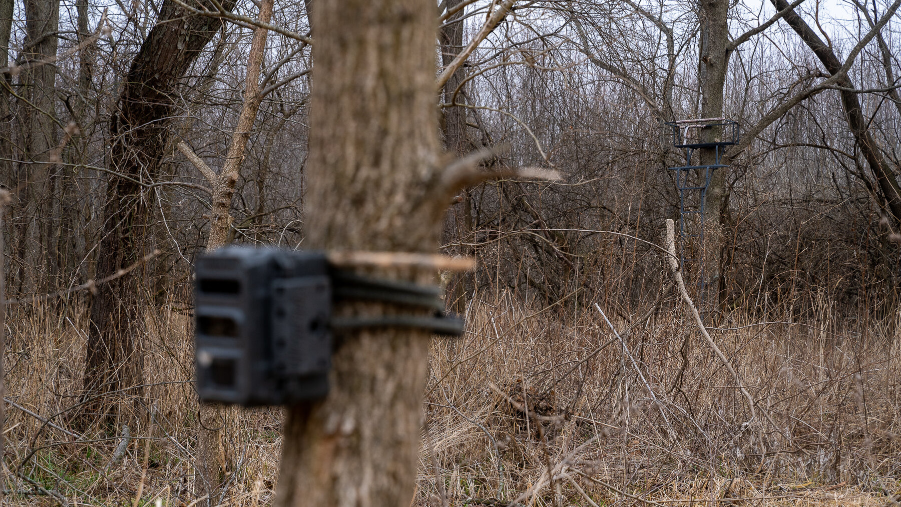 Image for Sangamon County, IL 58.22 Acres