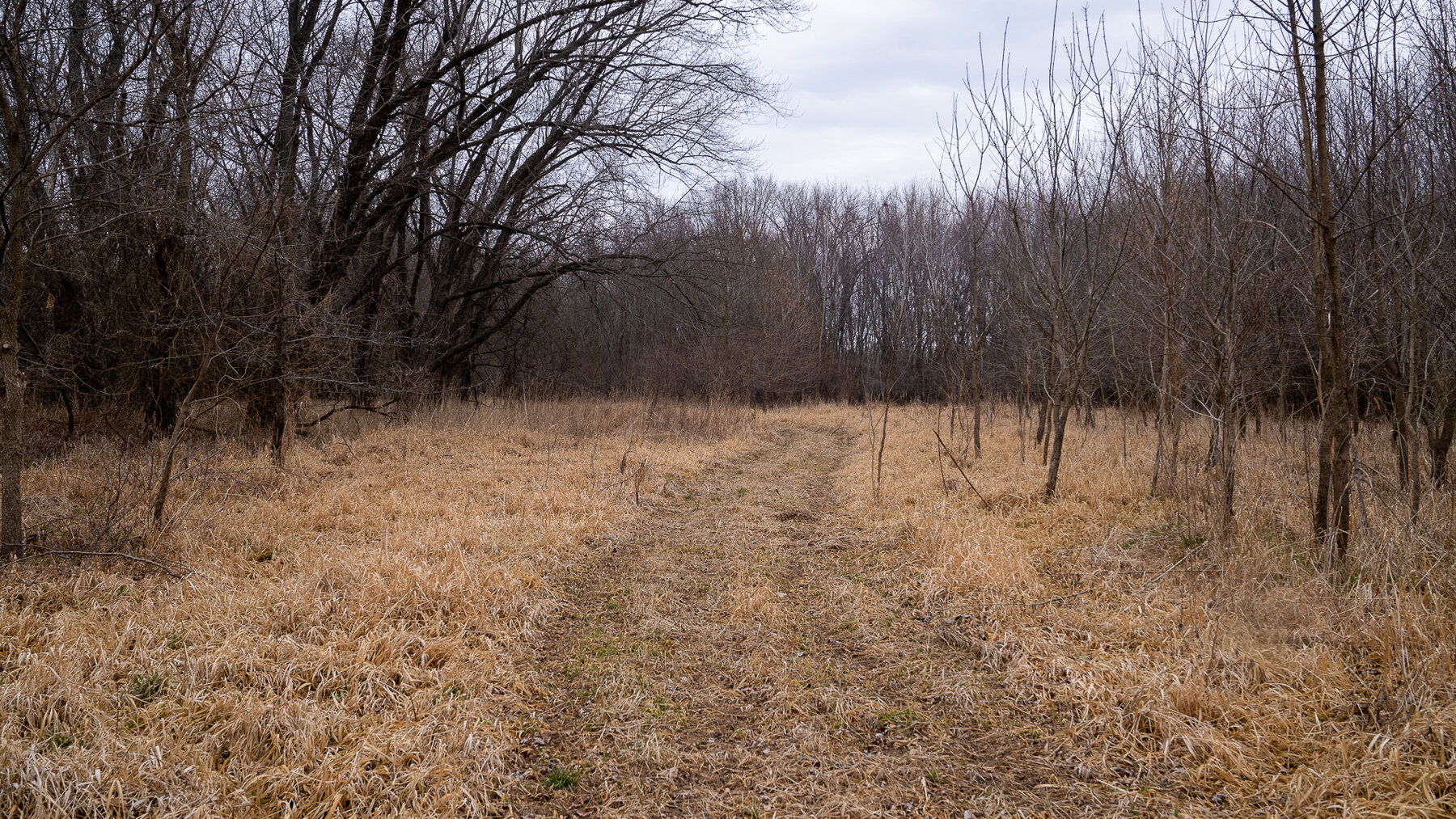 Image for Sangamon County, IL 58.22 Acres
