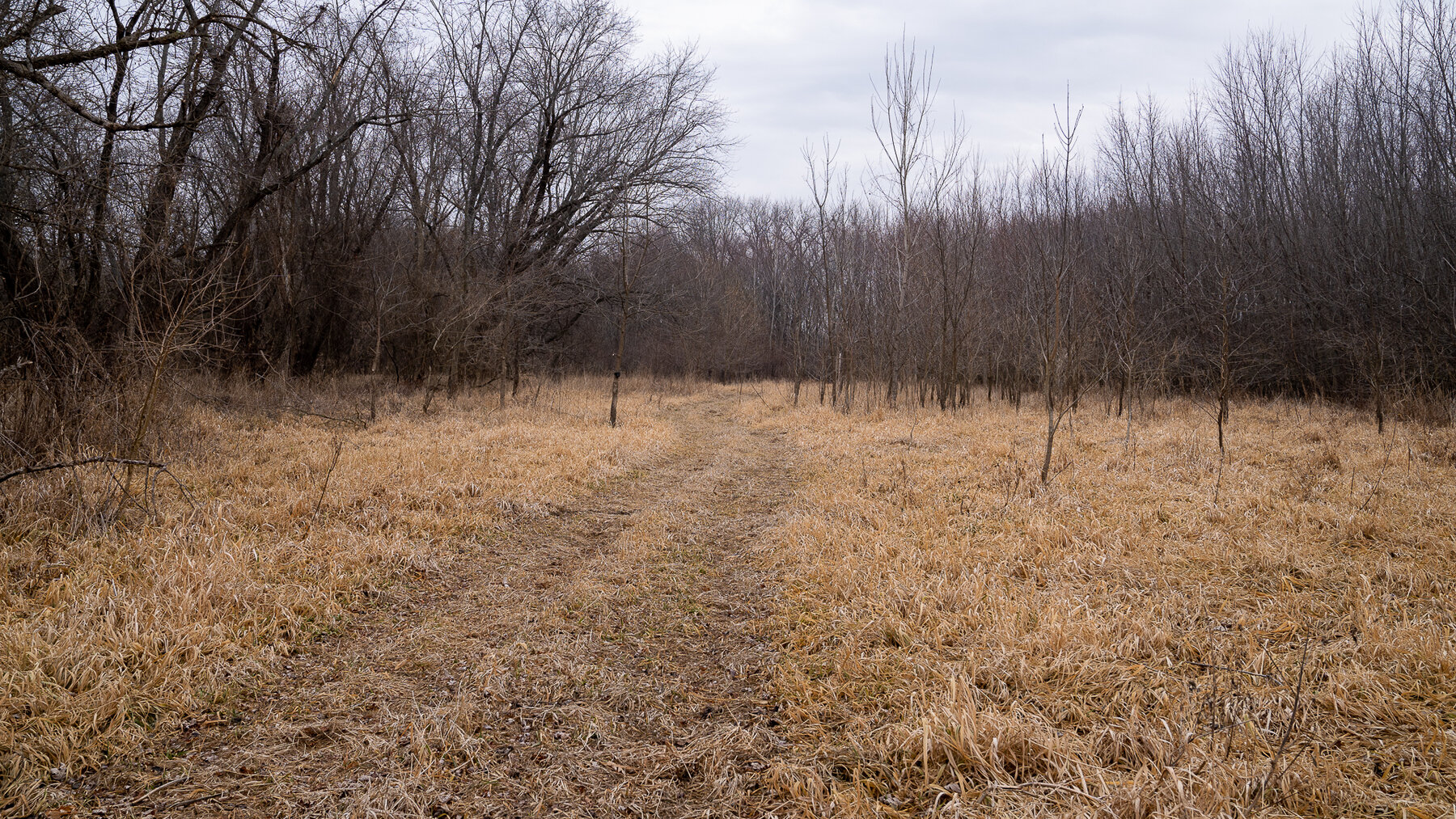 Image for Sangamon County, IL 58.22 Acres