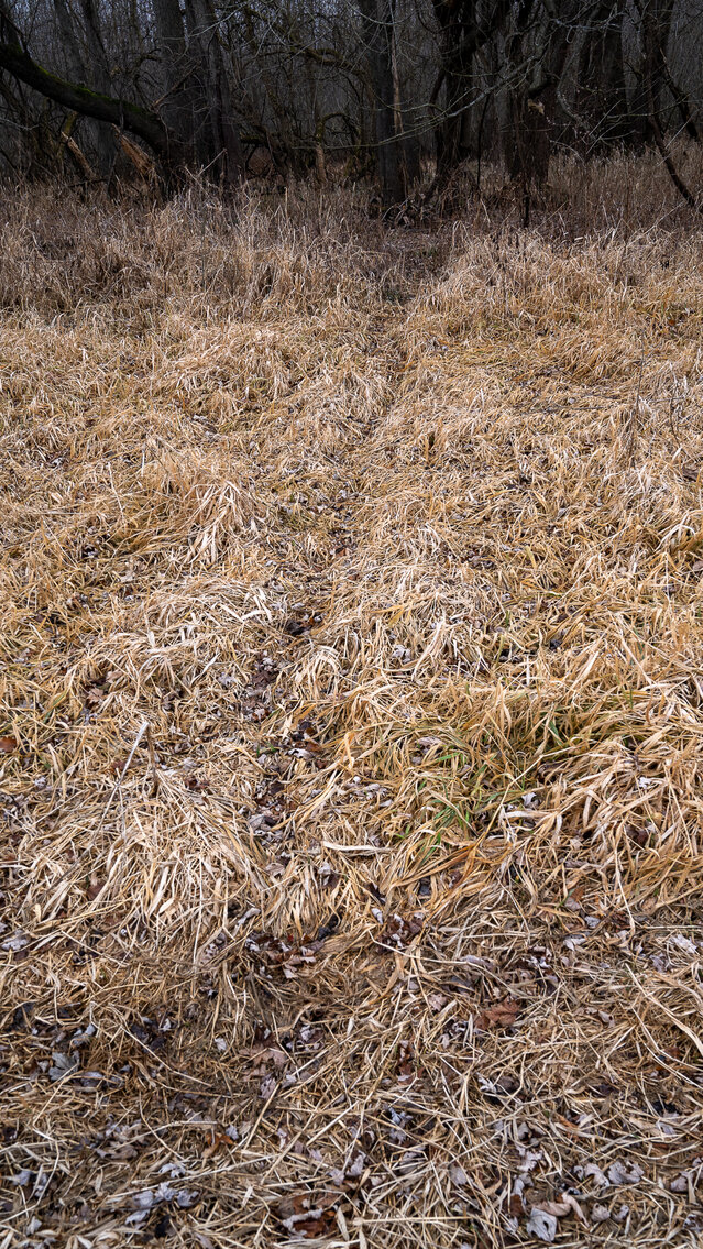 Image for Sangamon County, IL 58.22 Acres