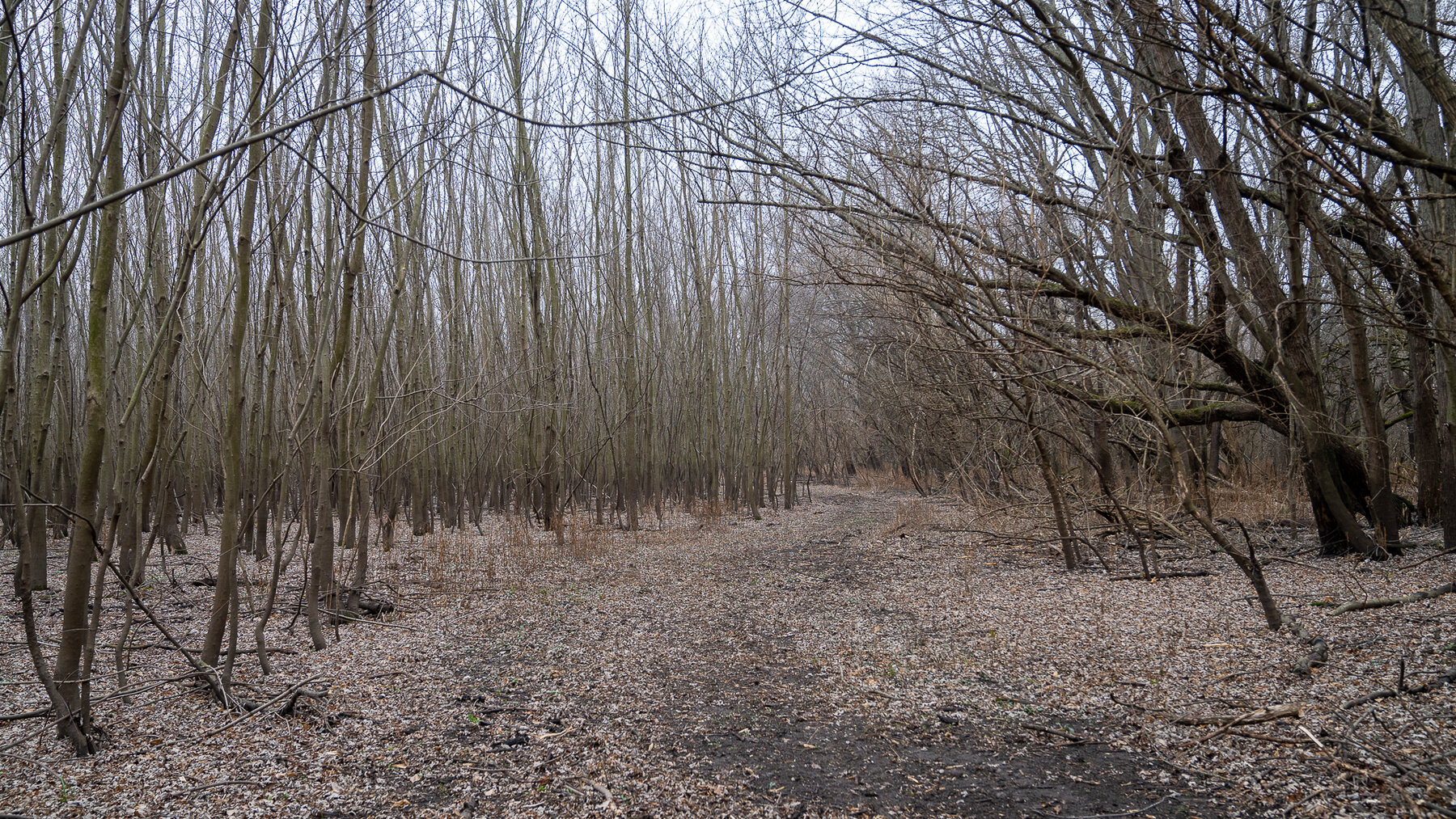 Image for Sangamon County, IL 58.22 Acres