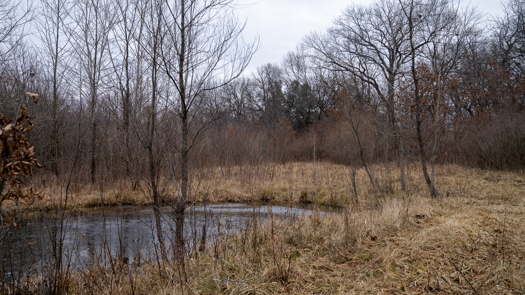 Image for Sangamon County, IL 58.22 Acres