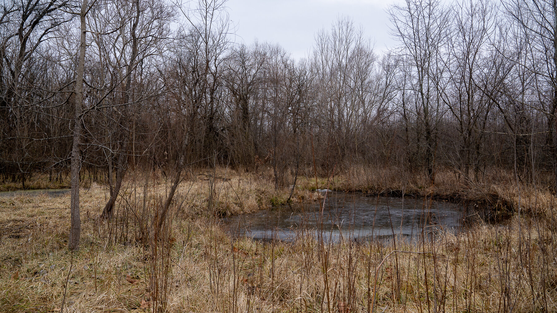 Image for Sangamon County, IL 58.22 Acres