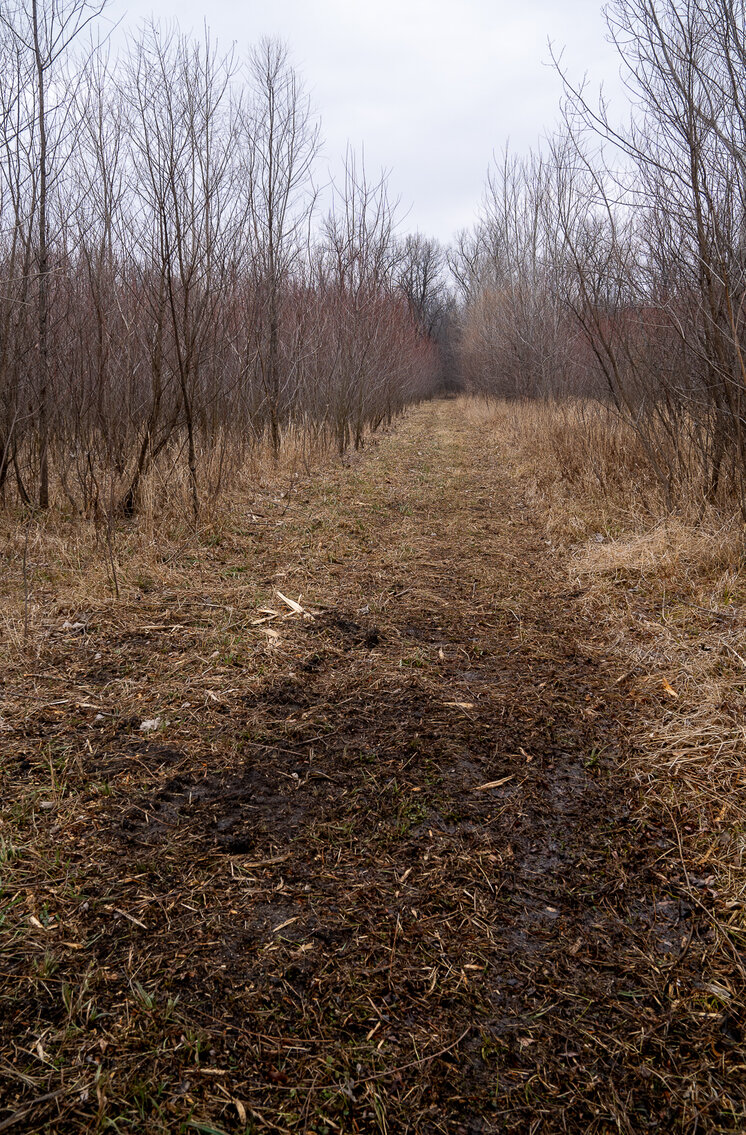 Image for Sangamon County, IL 58.22 Acres