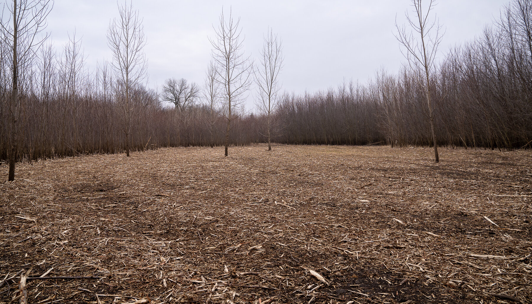 Image for Sangamon County, IL 58.22 Acres