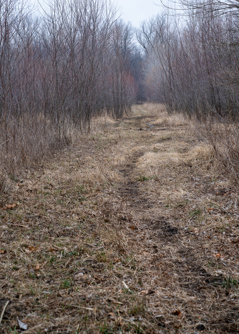 Image for Sangamon County, IL 58.22 Acres