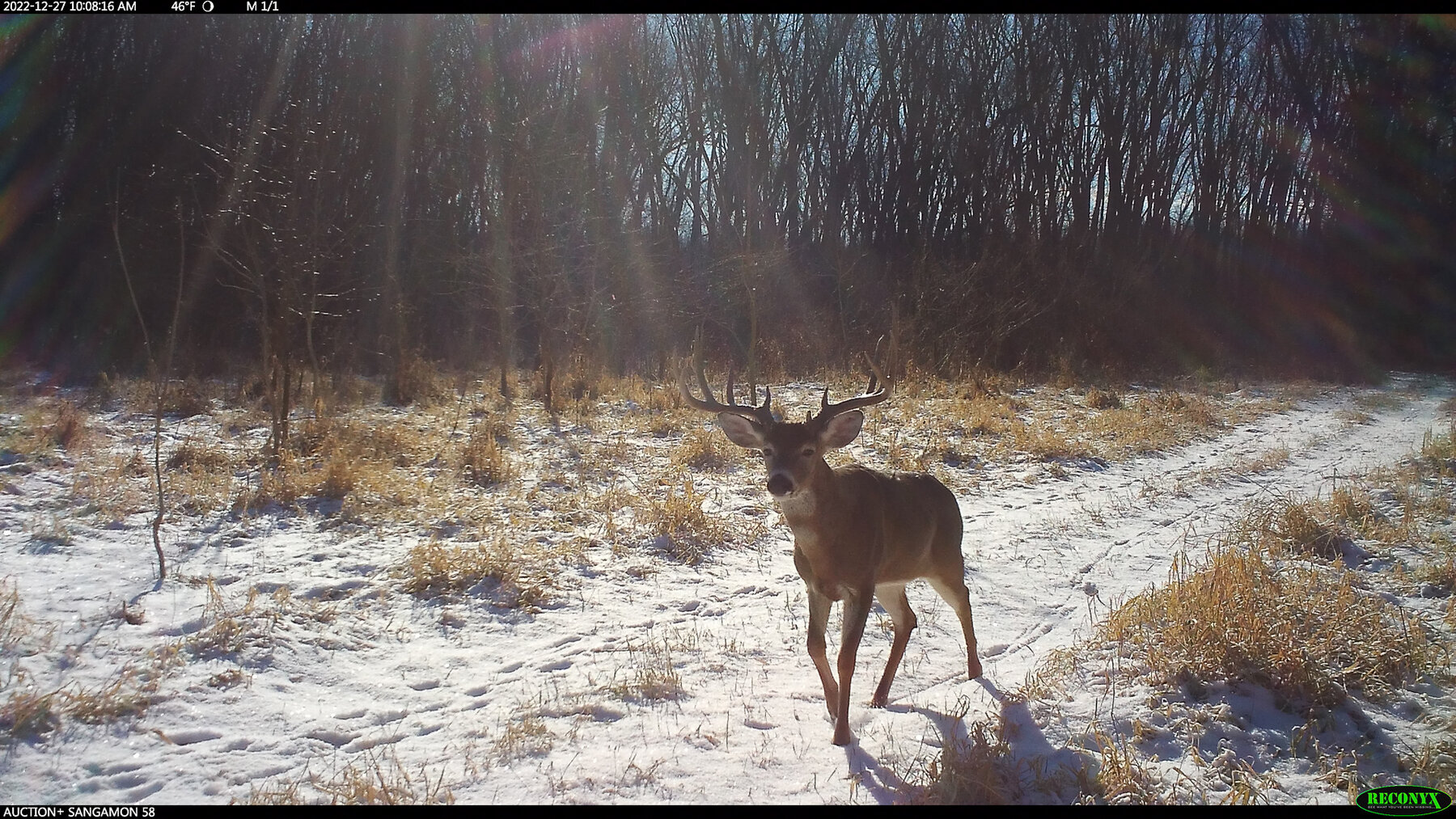 Image for Sangamon County, IL 58.22 Acres