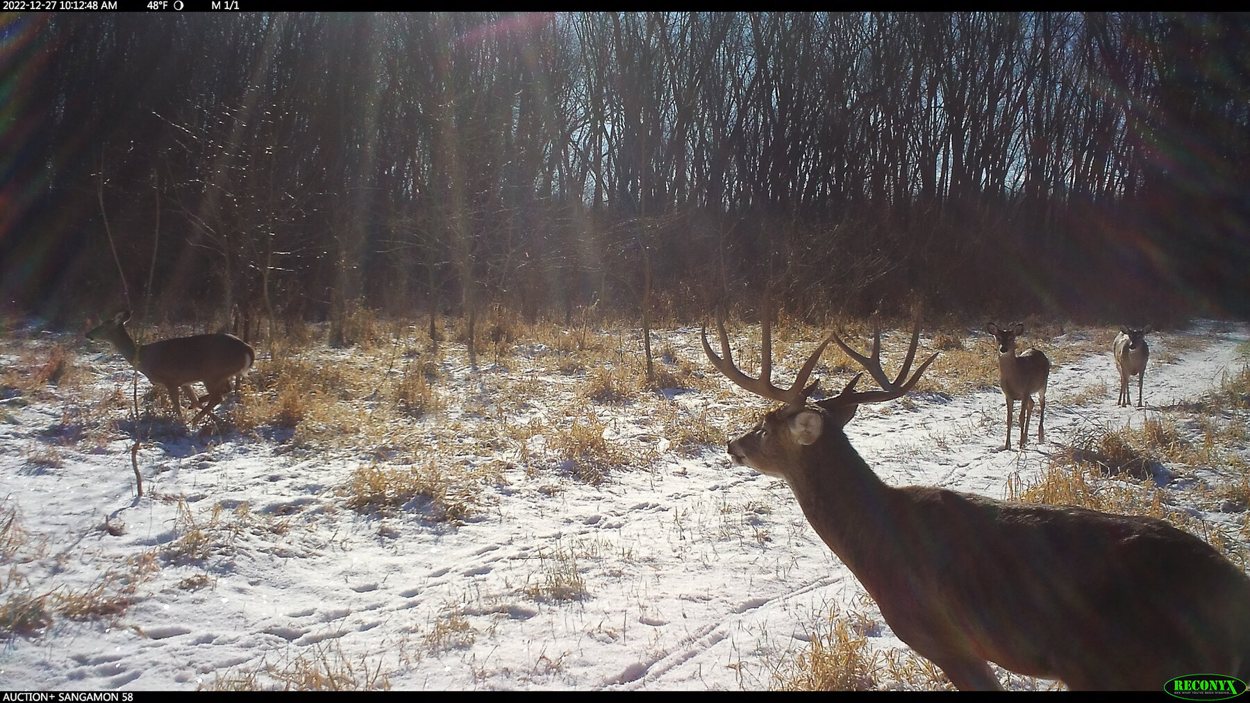 Image for Sangamon County, IL 58.22 Acres