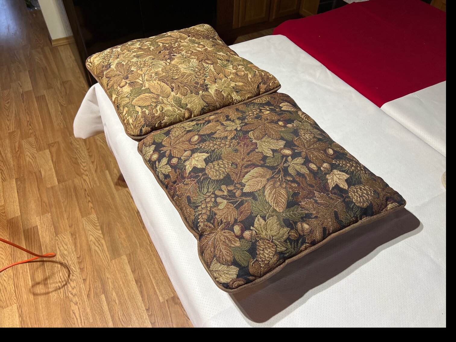 2 Northwoods pillows