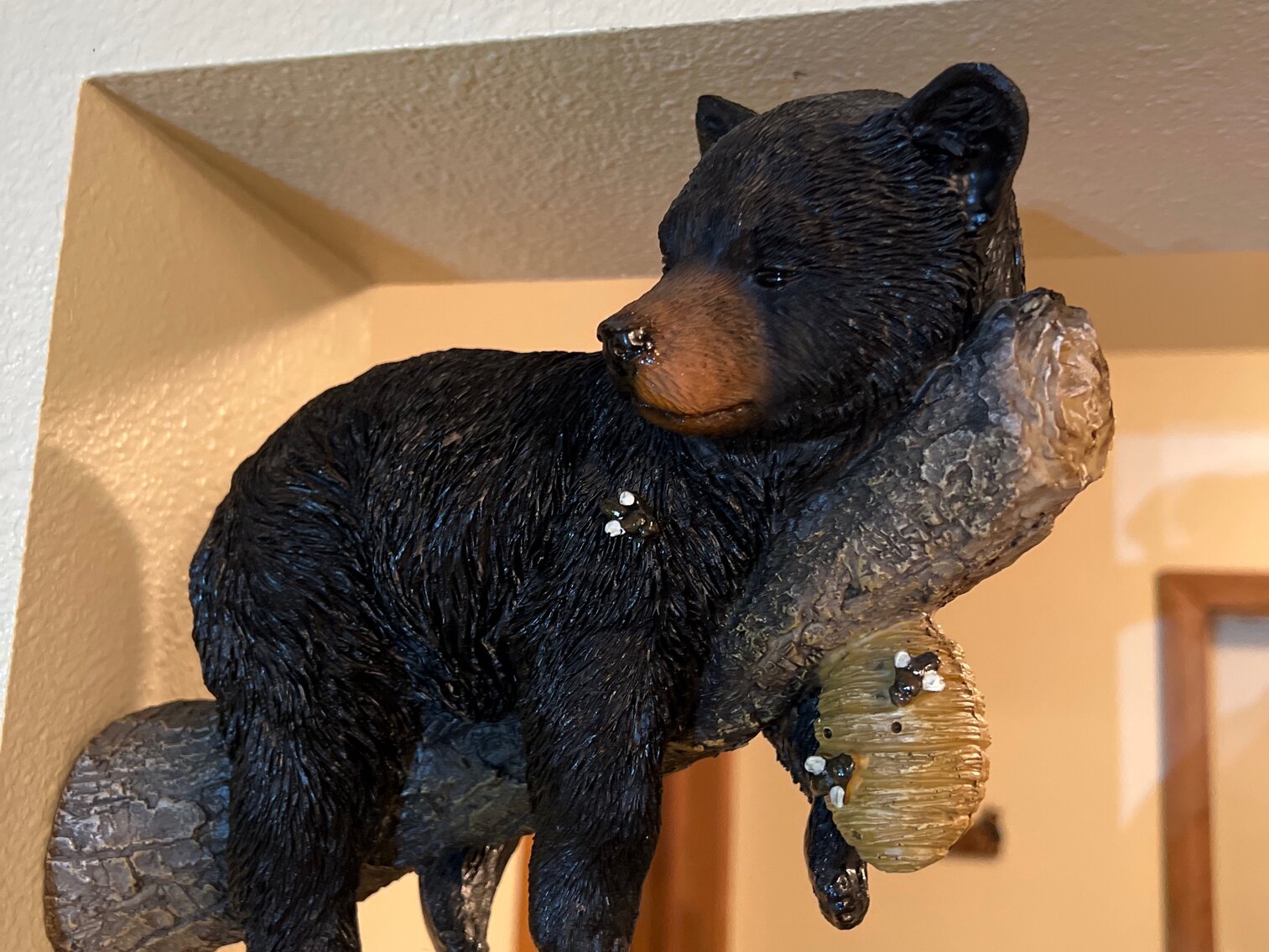 Bear on limb with honeycomb