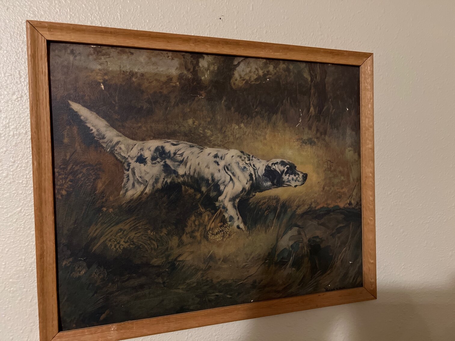 Dog pointing picture