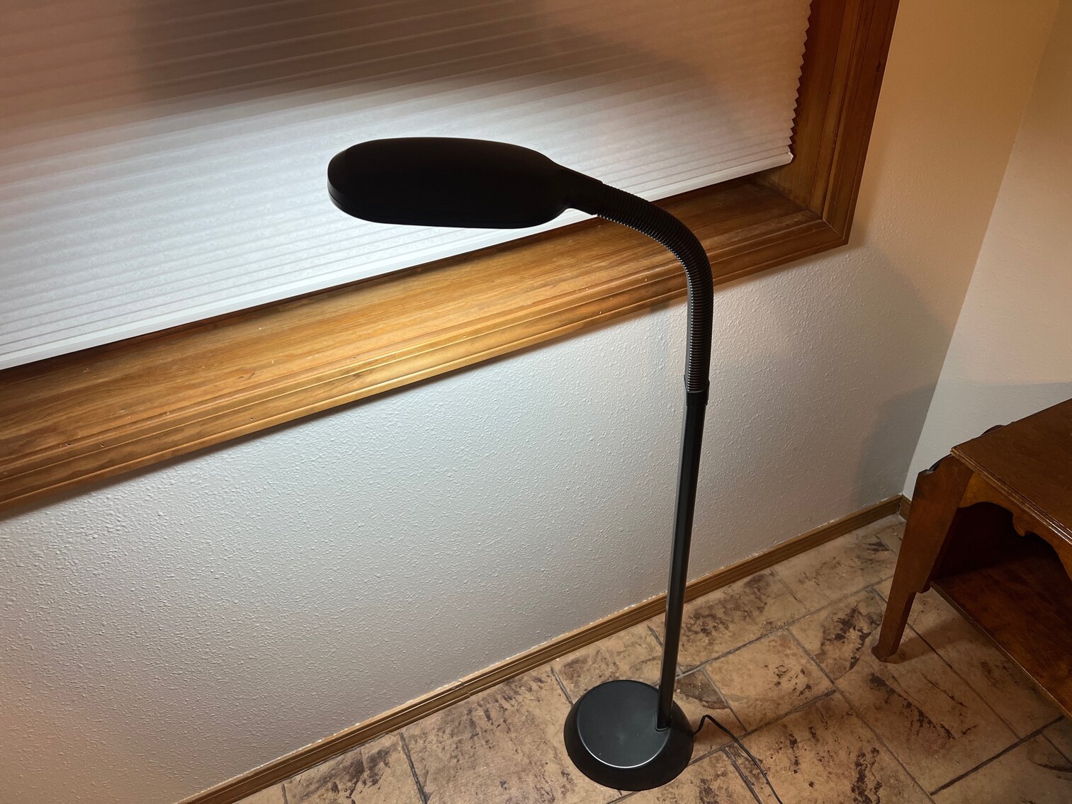 Fluorescent lamp